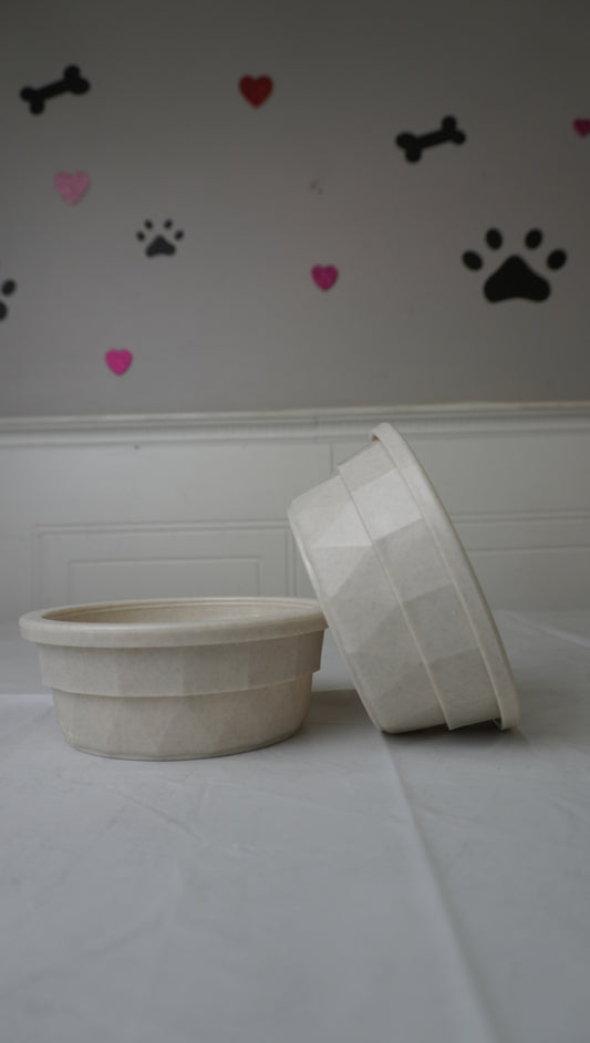 Eco-Friendly Pet Bowls (2-Pack)