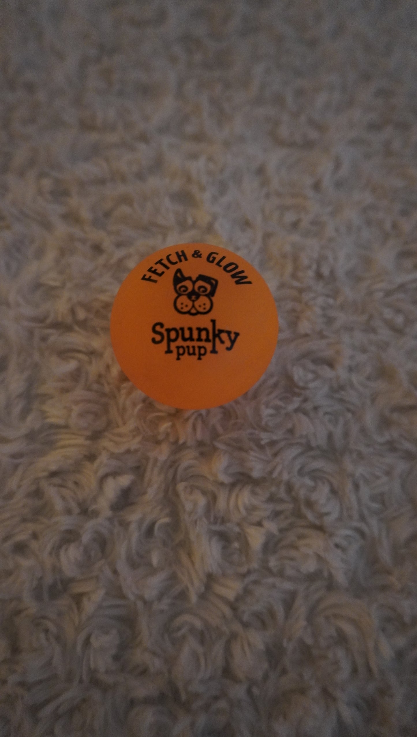 Spunky Pup Fetch & Glow Ball – Gently Used