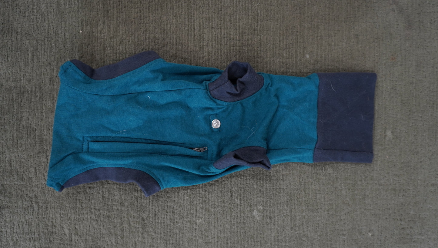 Teal Performance Dog Bodysuit