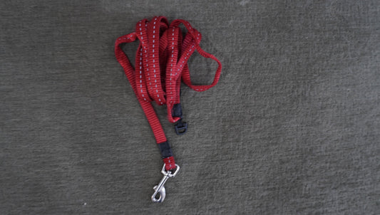 ZippyPaws Reflective Dog Leash – Red