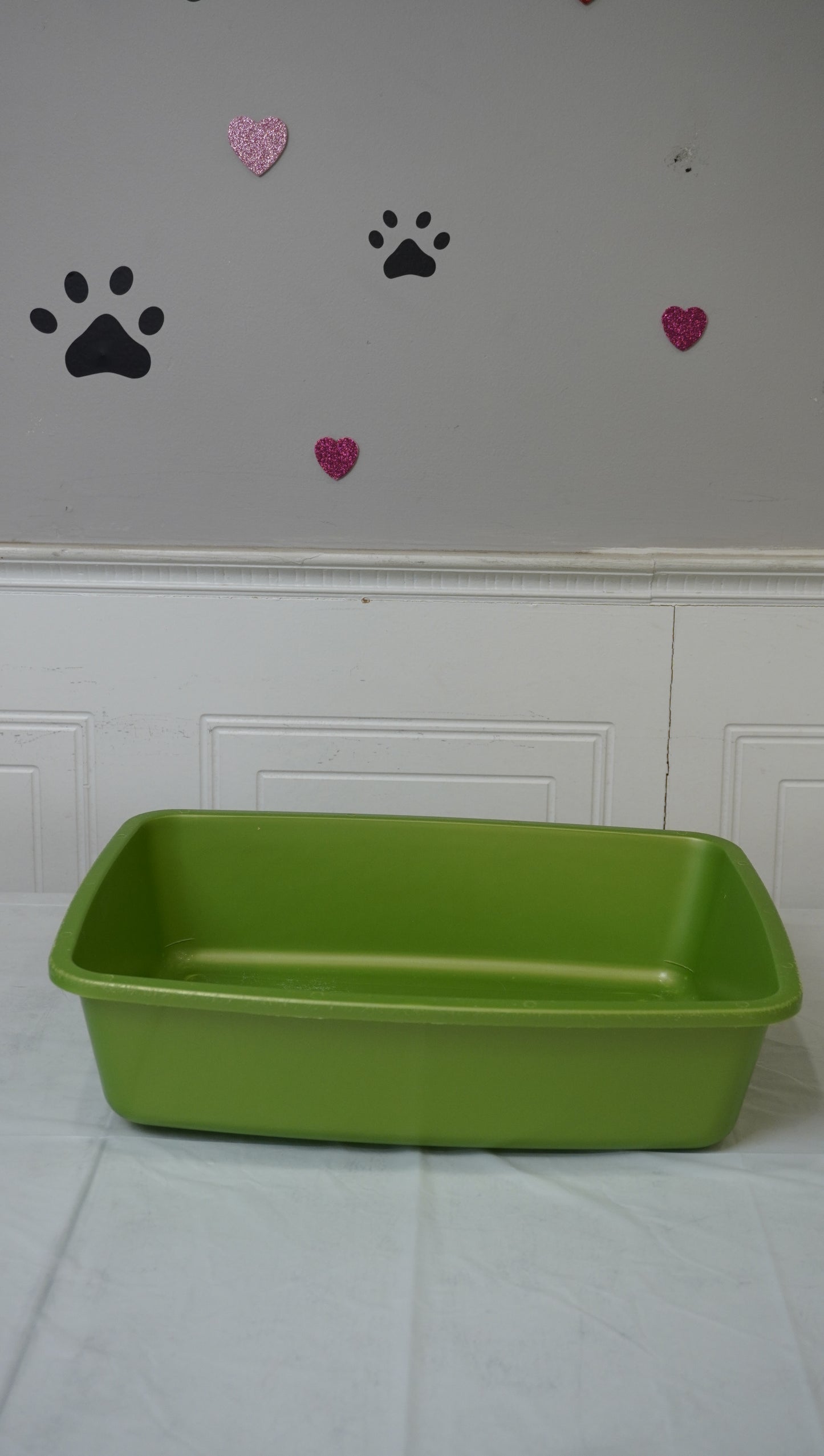 Green Open Cat Litter Tray