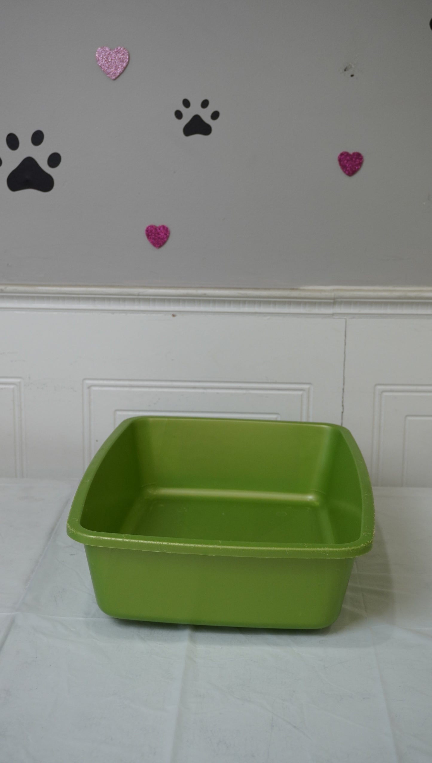 Green Open Cat Litter Tray
