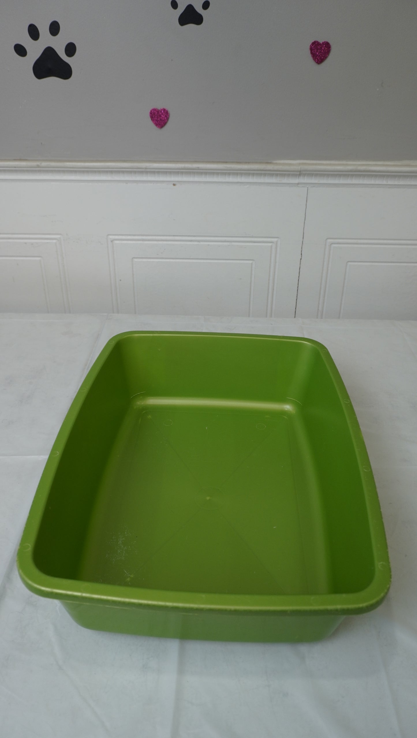 Green Open Cat Litter Tray