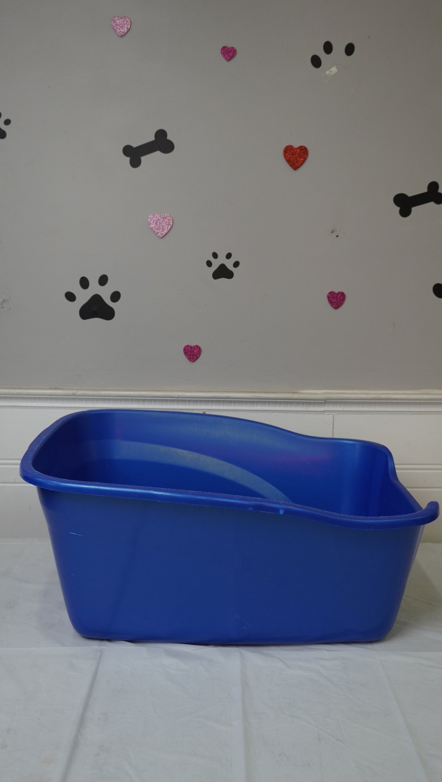 Classic Open Cat Litter Tray (Available in Blue)