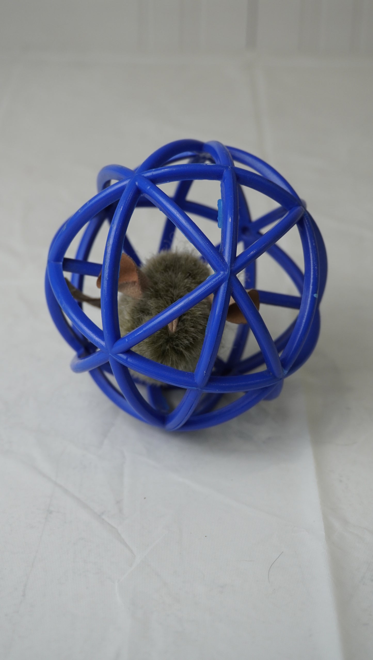 Interactive Mouse Ball Cat Toy – Gently Used