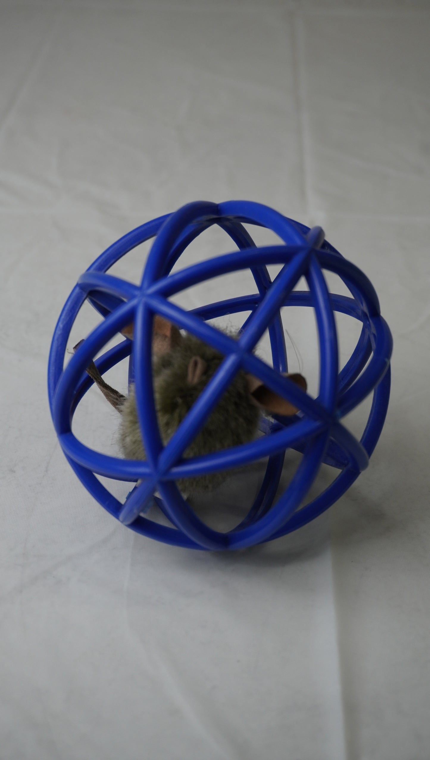 Interactive Mouse Ball Cat Toy – Gently Used