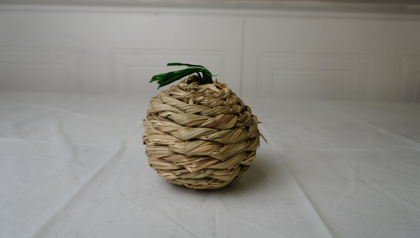 Spring Coil Cat Toy – Gently Used (Copy)