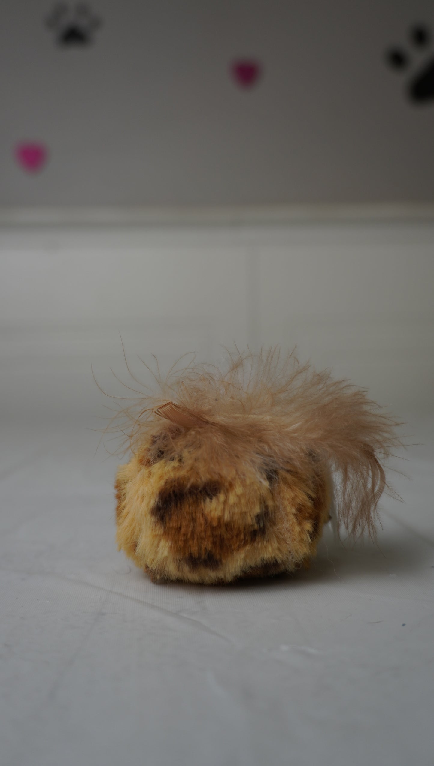 Leopard Print Plush Cat Toy Ball – Gently Used