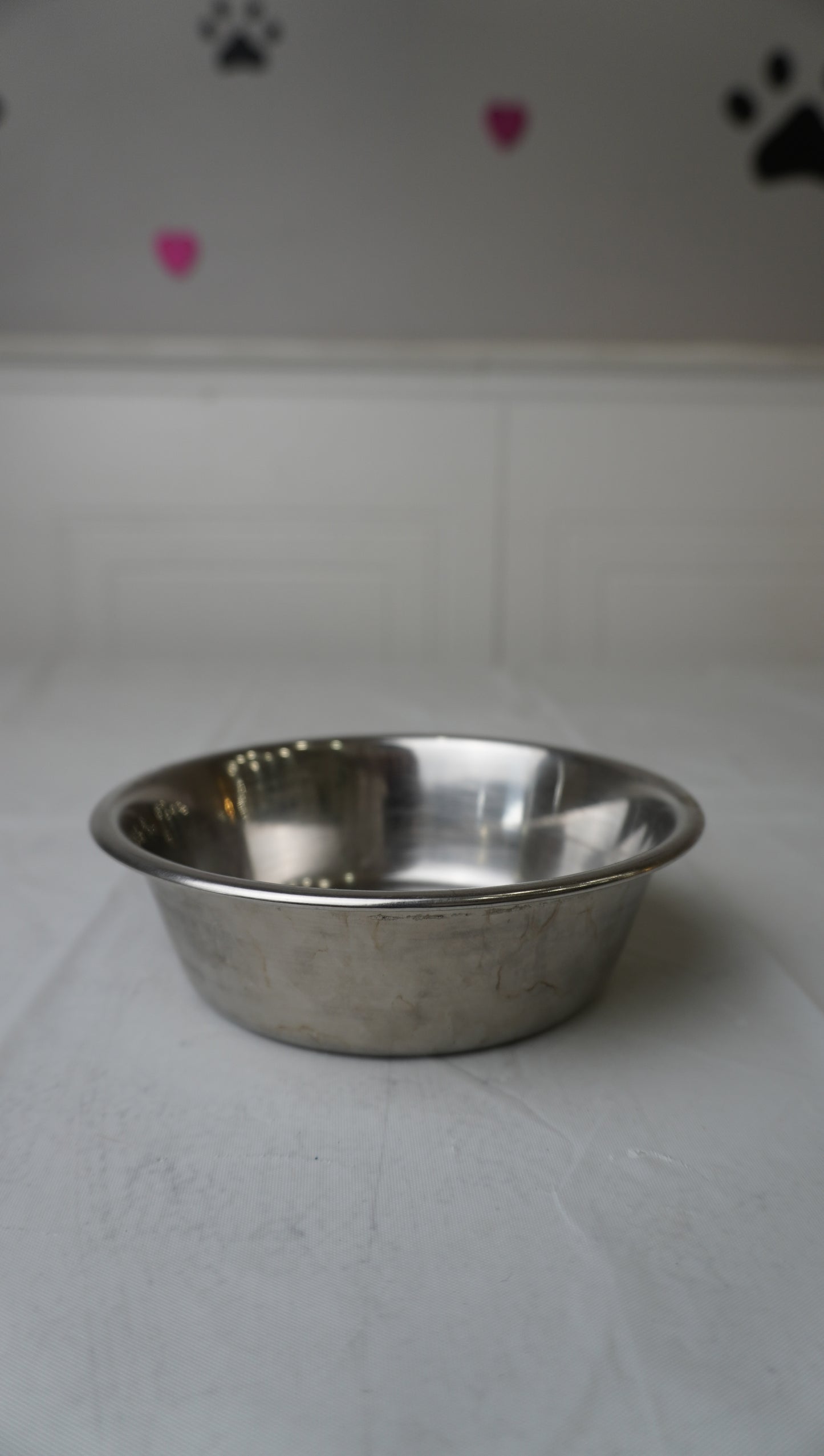 Stainless Steel Pet Bowl