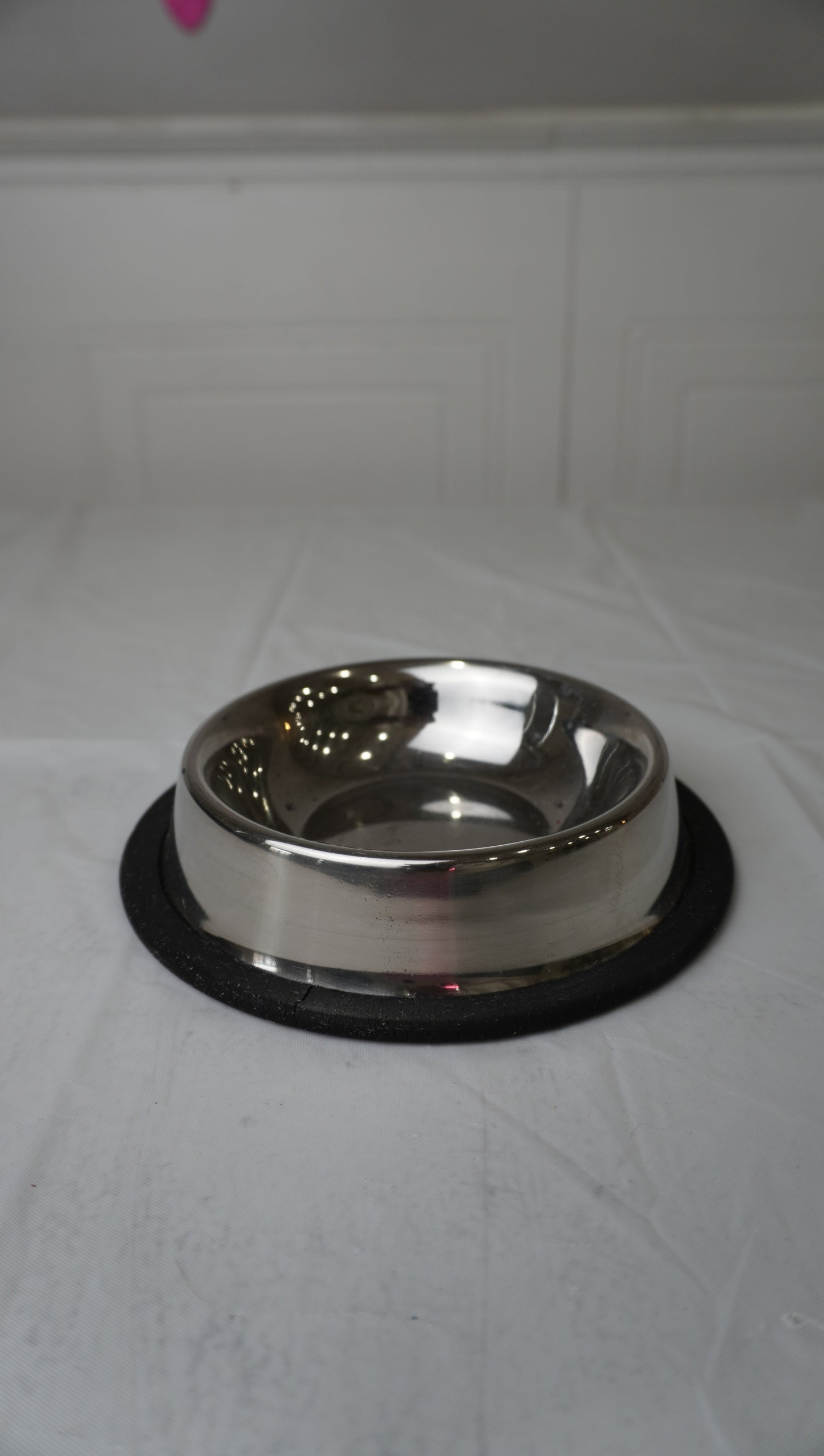 2 Non-Slip Stainless Steel Pet Bowl