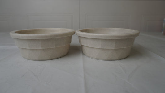 Eco-Friendly Pet Bowls (2-Pack)