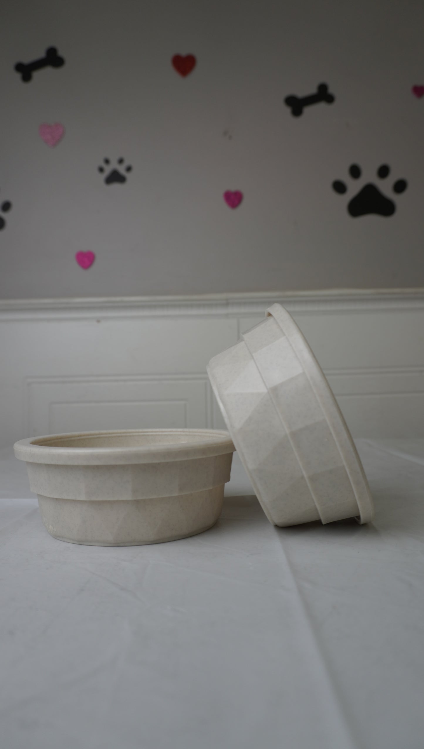 Eco-Friendly Pet Bowls (2-Pack)