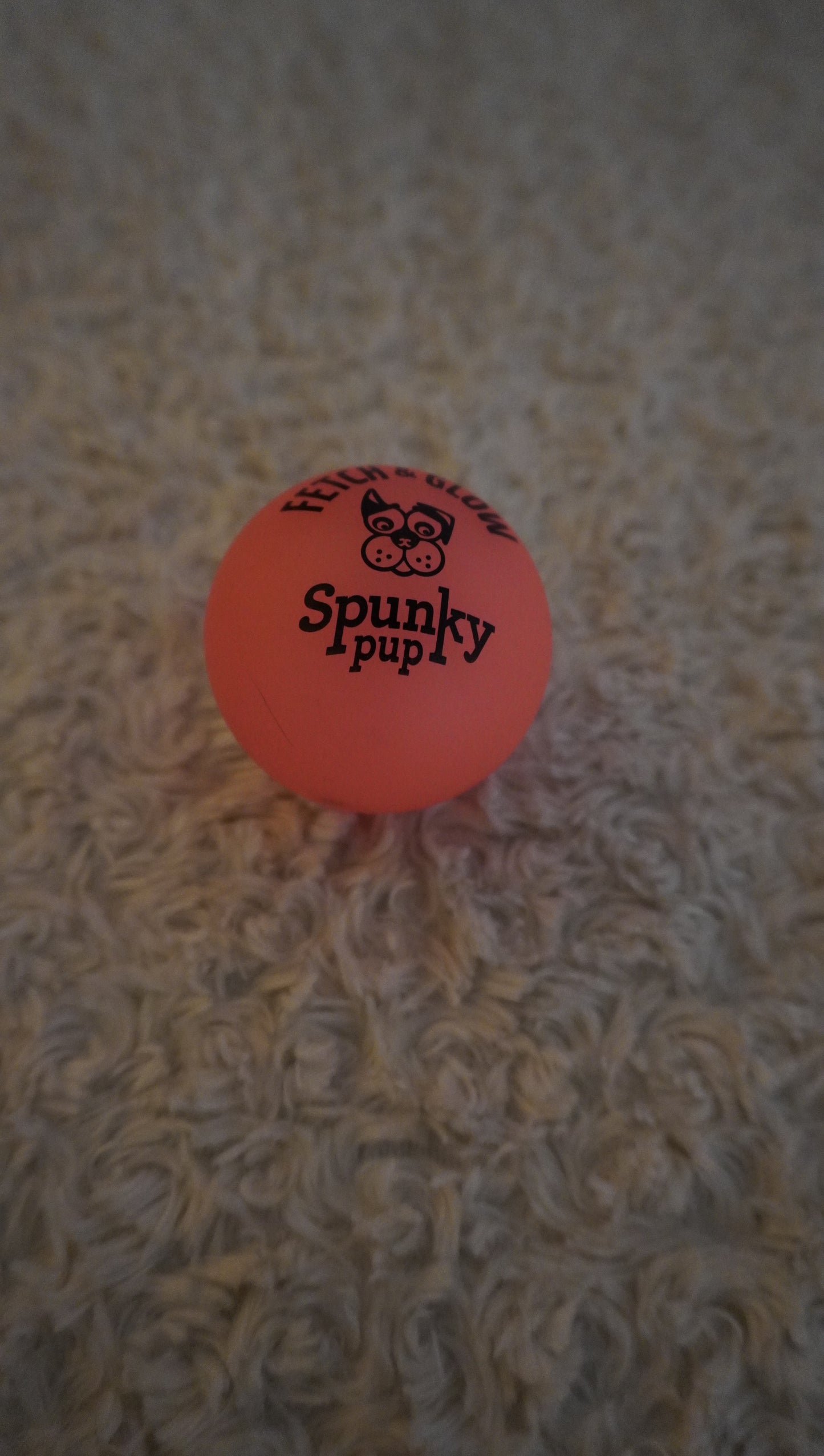 Spunky Pup Fetch & Glow Ball – Gently Used