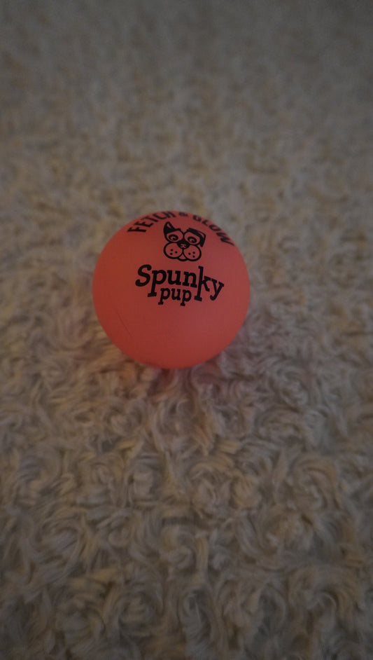 Spunky Pup Fetch & Glow Ball – Gently Used