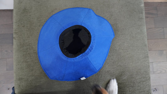 Soft Fabric Recovery Collar (Blue)