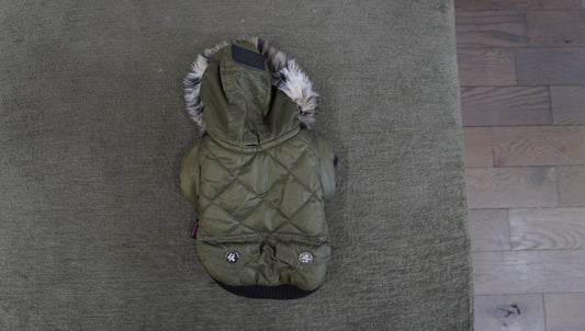 Olive Green Quilted Dog Winter Jacket