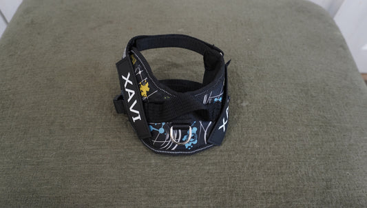 Personalized Dog Harness – Space Print (XAVI)