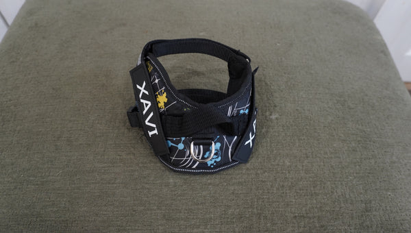 Personalized Dog Harness – Space Print (XAVI)