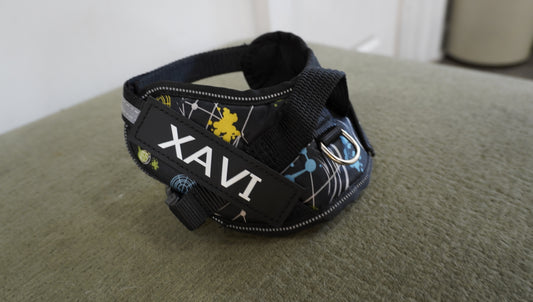 Personalized Dog Harness – Space Print (XAVI)