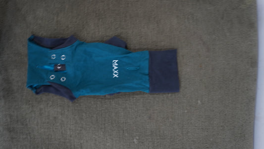 Teal Performance Dog Bodysuit