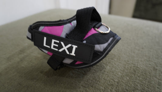 Personalized Dog Harness – Pink Camo (LEXI)