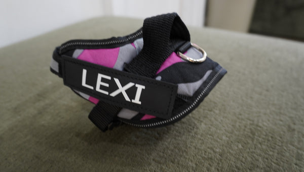Personalized Dog Harness – Pink Camo (LEXI)