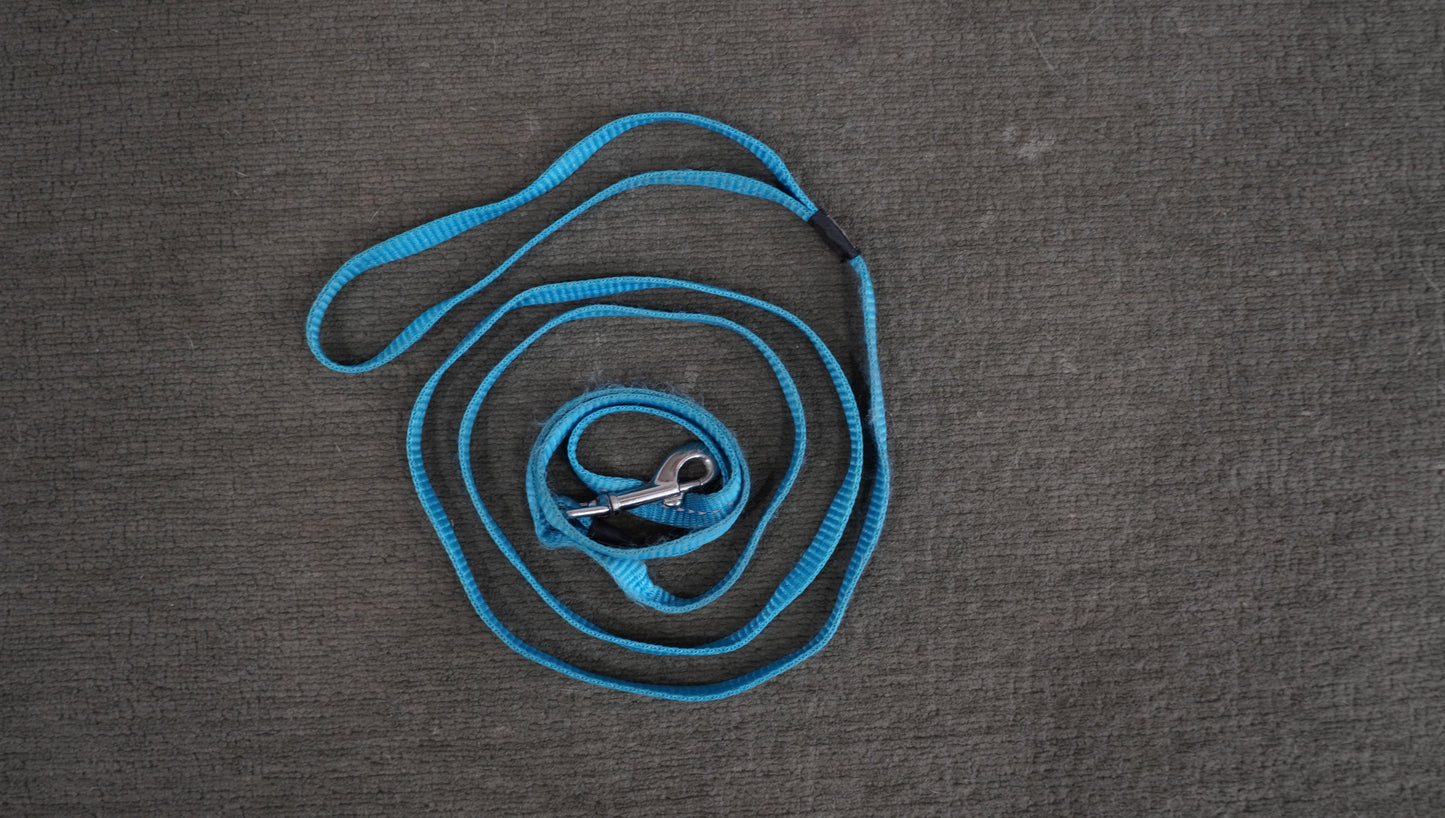 Reflective Nylon Dog Leash – Blue