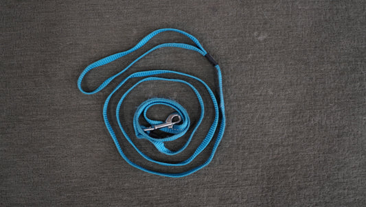 Reflective Nylon Dog Leash – Blue