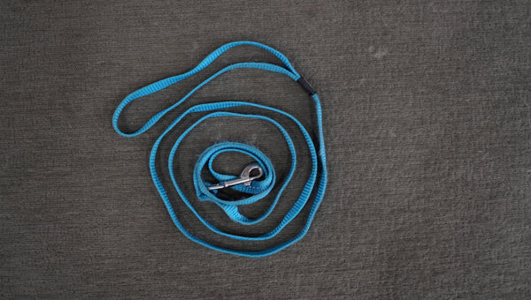 Reflective Nylon Dog Leash – Blue