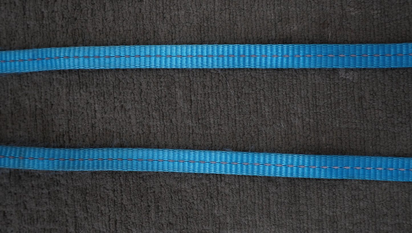 Reflective Nylon Dog Leash – Blue