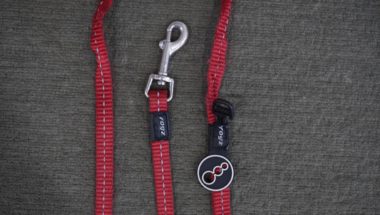 ZippyPaws Reflective Dog Leash – Red