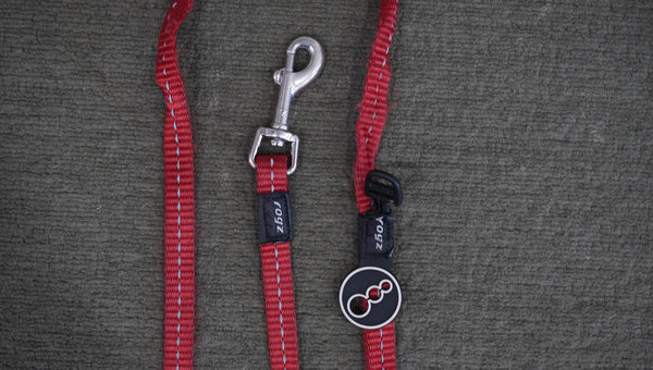 Rogz Reflective Dog Leash – Red