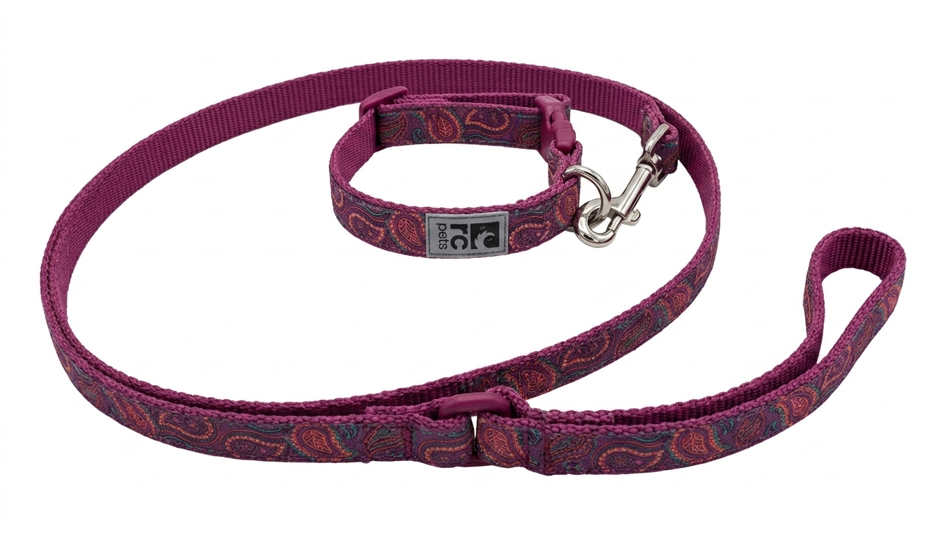 RC Pets Patterned Collar & Leash Set – Gently Used