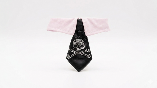 Formal Pet Collar with Skull Tie – Dress-Up Accessory for Small Dogs or Cats – Gently Used
